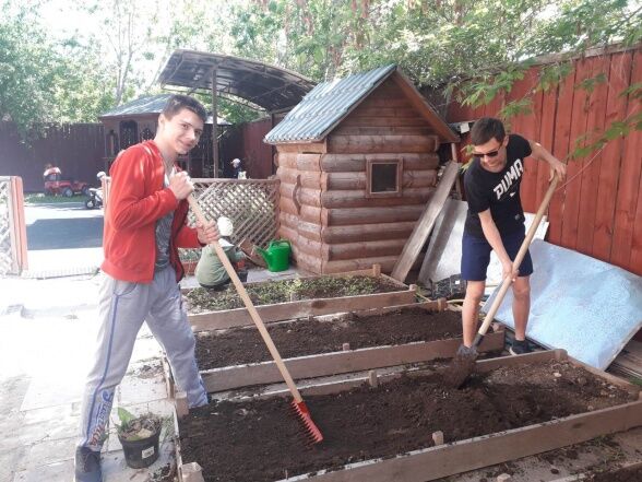 Дела огородные Дела огородные