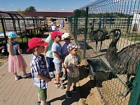 Посетили крокодиловую ферму и минизоопарк в Парфентьево.