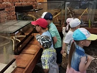 Посетили крокодиловую ферму и минизоопарк в Парфентьево.